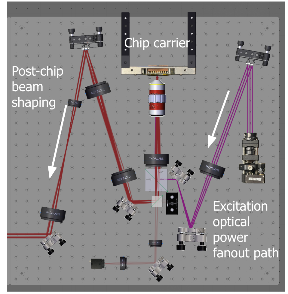 Optical excitation pathway showing chip carrier, post-chip beam shaping via SLM, and excitation power fanout